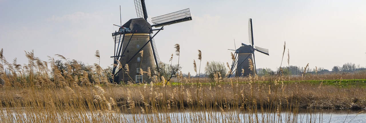 A panoramic image of a tranquil rural scene featuring three traditional Dutch windmills in the background, set against a clear sky. In the foreground, tall reeds line the edge of a calm waterway. The scene is indicative of the Netherlands' iconic landscape and suggests the serenity of rural life, potentially in the context of regional skilled occupations in New South Wales, Australia, as the filename might imply.